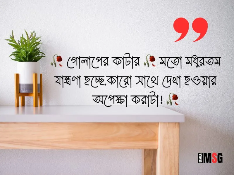 নিউ ক্যাপশন sad