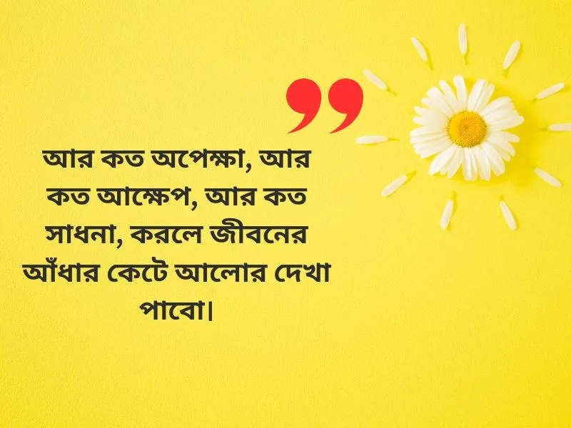 আলো নিয়ে ক্যাপশন