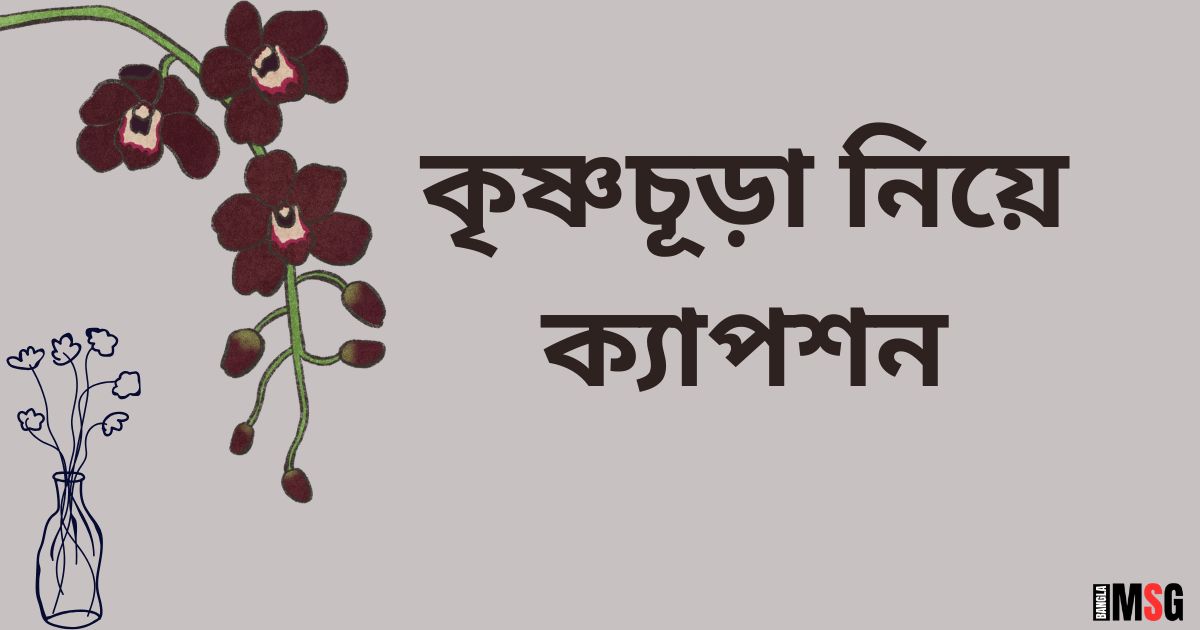 কৃষ্ণচূড়া নিয়ে ক্যাপশন