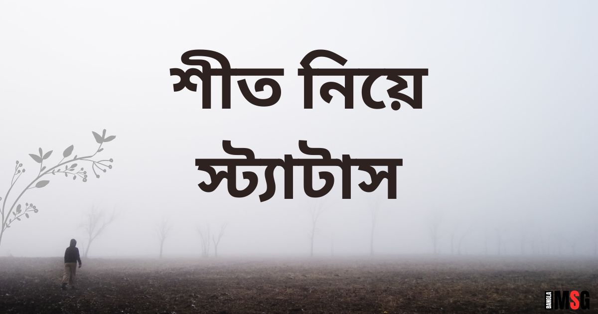 শীত নিয়ে স্ট্যাটাস