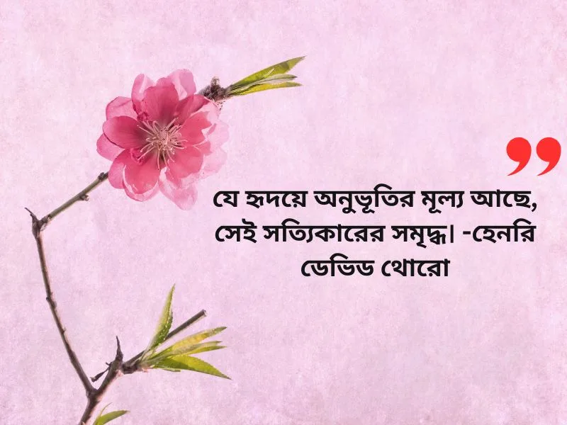 অনূভুতি নিয়ে উক্তি