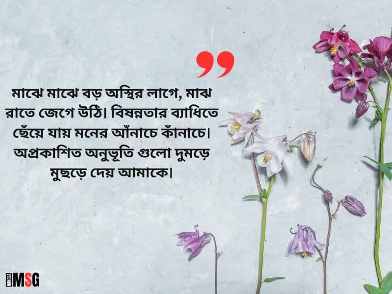 অপ্রকাশিত অনুভূতি নিয়ে ক্যাপশন