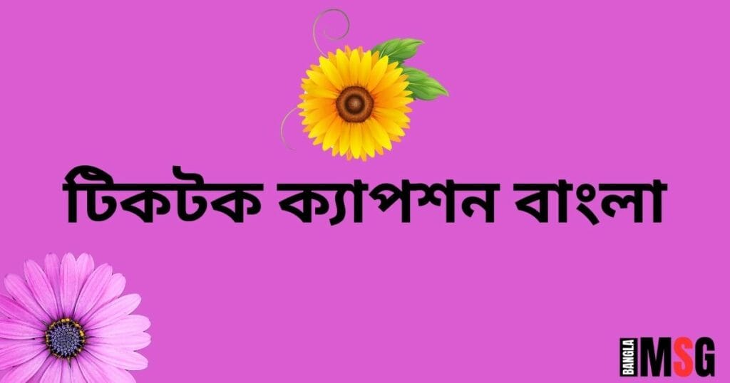 টিকটক ক্যাপশন বাংলা