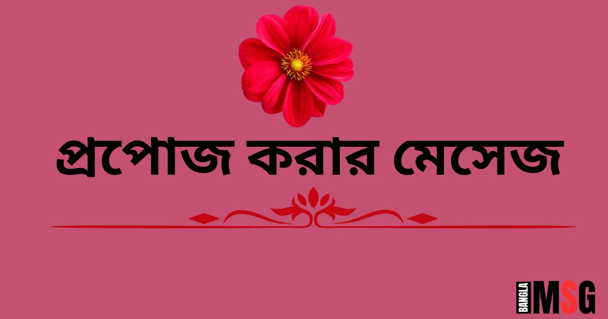 প্রপোজ করার মেসেজ