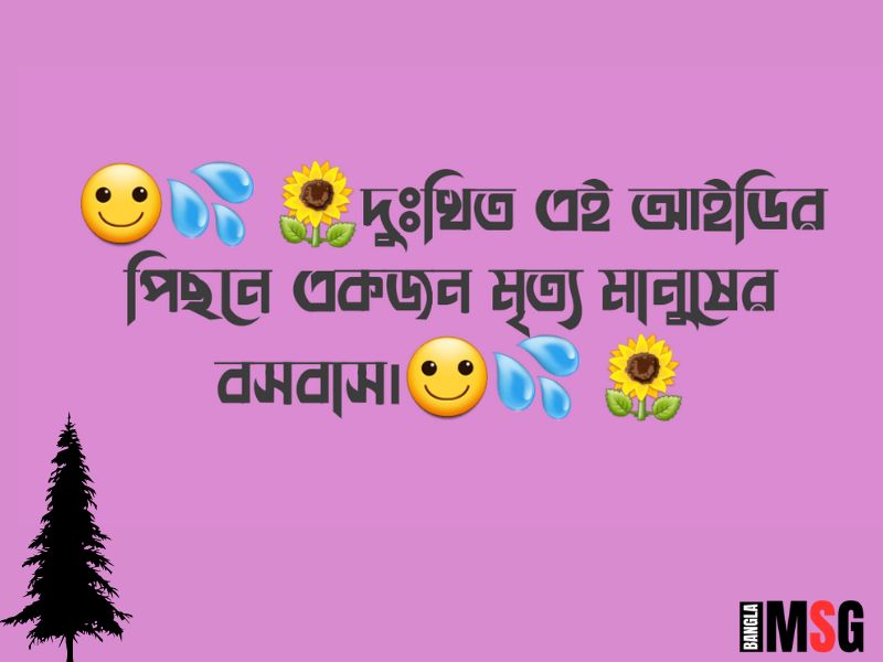 ফেসবুক বায়ো ২০২৪