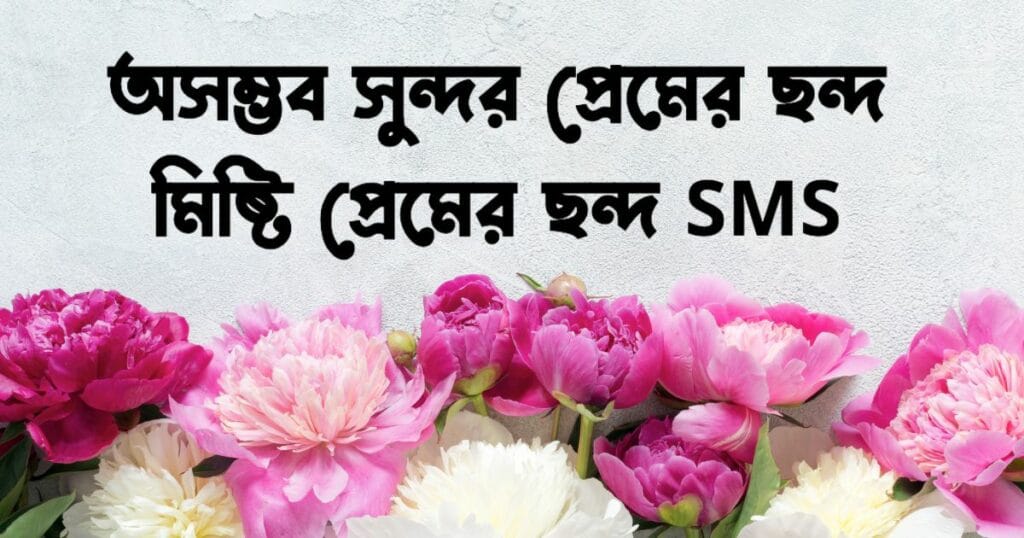 মিষ্টি প্রেমের ছন্দ SMS_অসম্ভব সুন্দর প্রেমের ছন্দ
