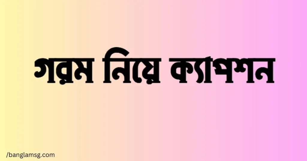 গরম নিয়ে ক্যাপশন