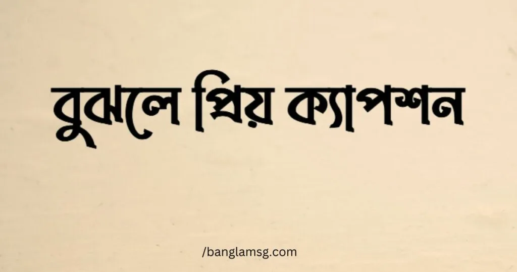 বুঝলে প্রিয় ক্যাপশন