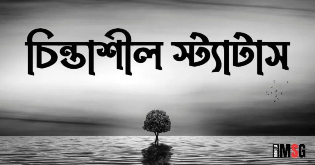 চিন্তাশীল স্ট্যাটাস